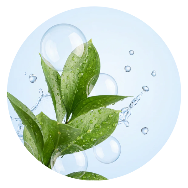 Plant-Based Surfactants