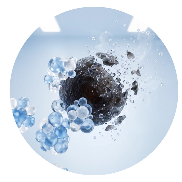 Natural Enzymes