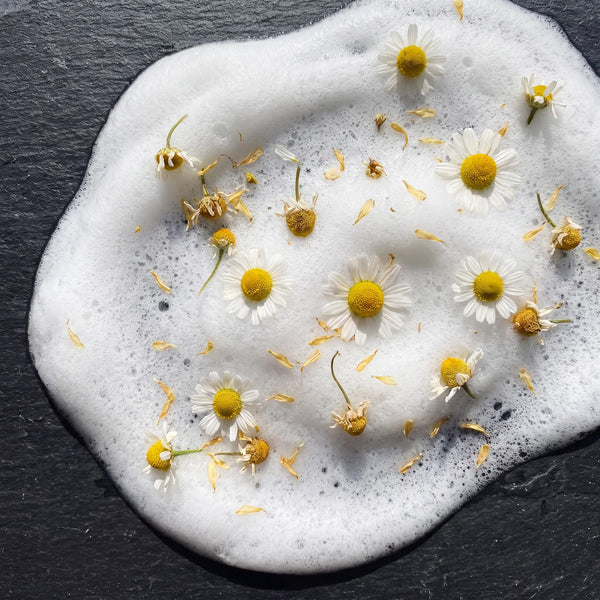 Chamomile Flower Extract