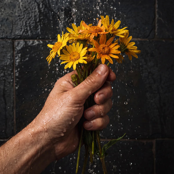 Arnica Montana Extract